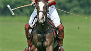Prince William Mounts, Straddles, Hits Balls Hard